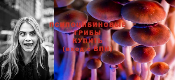 мет Горно-Алтайск