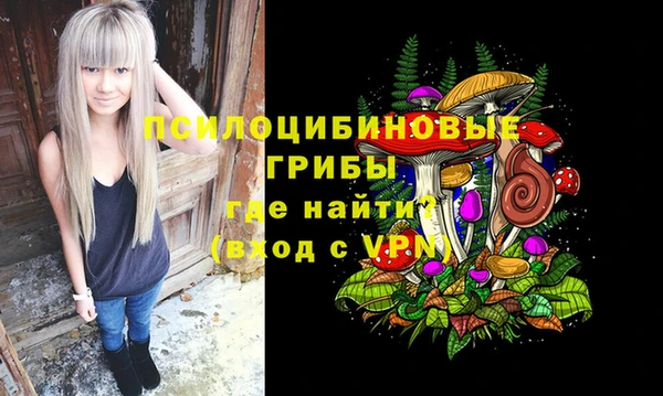 индика Алзамай