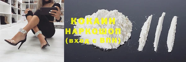 индика Алзамай