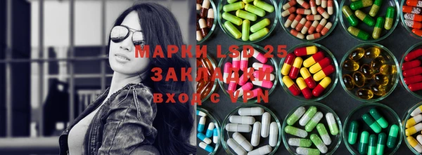 индика Алзамай