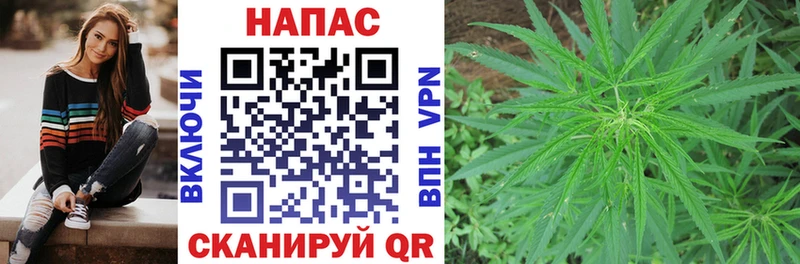 МАРИХУАНА план  Люберцы 